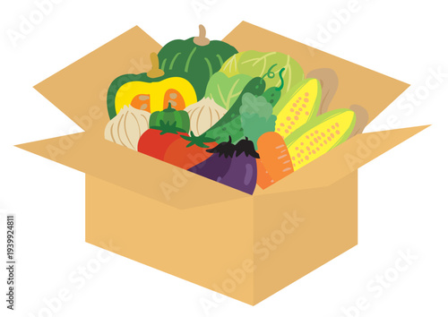 収穫した新鮮野菜の詰め合わせイラスト