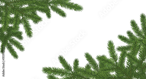 Lush green spruce or pine branches arranged as a decorative corner frame on a clean white background for holiday themes.