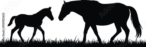 Black silhouette of mare and foal standing together on grassy field, mother horse nuzzling baby colt, symbolizing family bond, love, and equine motherhood.