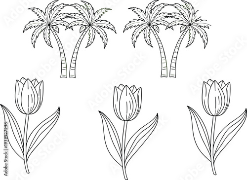 Hand drawn tropical palm trees and tulip flowers outline vector set, botanical line art elements for nature, floral, and decorative design