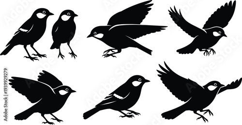 Set of six small bird silhouettes displays various poses including standing, taking off, and flying actions.