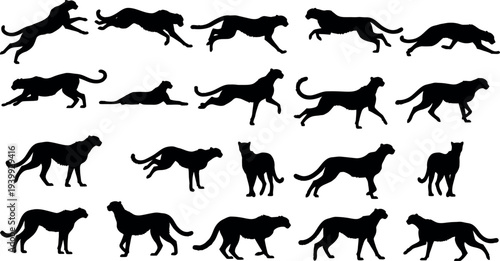Cheetah Silhouettes Collection: Dynamic Poses of Wild African Big Cat in Motion