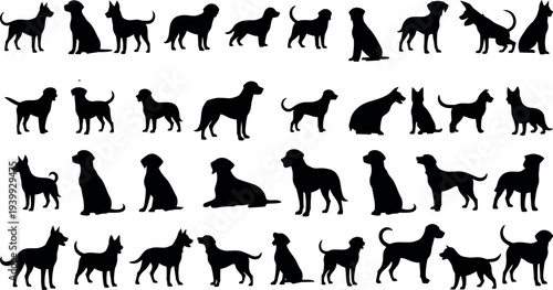 Collection of diverse dog silhouettes in various poses