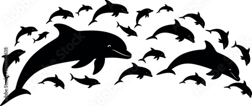 School of dolphins swimming together in harmony