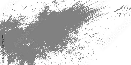 Abstract an artistic, dynamic, and visually striking splatter of gray ink on a clean backdrop, perfect for adding a touch of edgy design to any project.