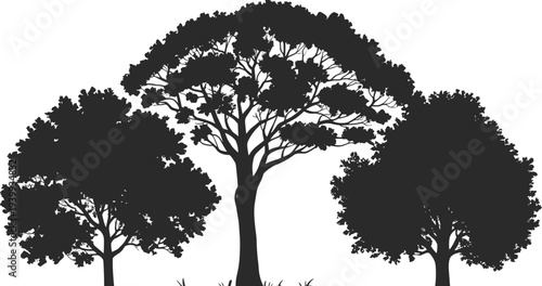 Black silhouettes of deciduous trees with lush foliage on white background, nature forest elements set, flat vector illustration, eco design