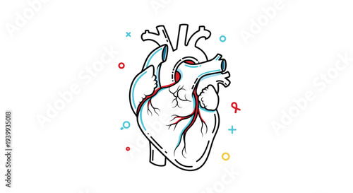 Anatomical illustration of a human heart with colorful veins and arteries surrounded by small festive geometric shapes.