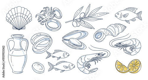 Detailed collection of elegant outline illustrations depicting various seafood items including shells fish shrimp and olives.