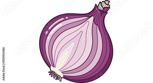 A cross-section of a vibrant red onion revealing its concentric layers and distinct bulbous shape.