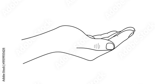 Minimalist line drawing of a human hand held open with the palm facing upwards isolated on a white background space.