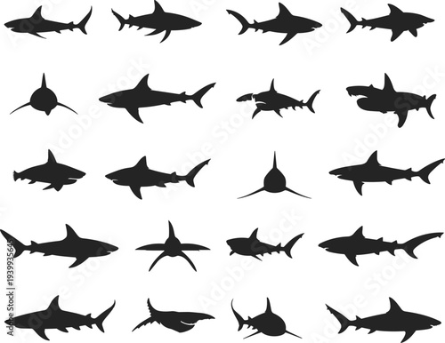 Collection of black shark silhouettes featuring various predator species swimming on white background, marine life icons set, flat vector illustration