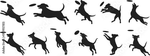 Set of black dog silhouettes catching frisbee in air, jumping and playing collection, CAD drawing flat vector illustration, isolated on white.