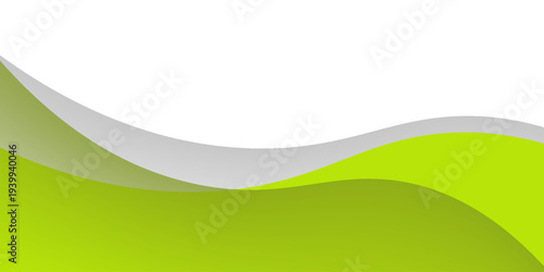 leaf green and white wave layer color abstract background. Vector illustration
