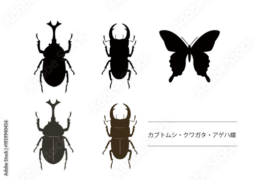 カブトムシとクワガタとアゲハ蝶のシルエットイラスト　昆虫素材　夏素材　