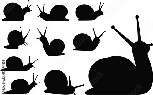 Snail Silhouette Collection with Multiple Crawling Garden Snail Shapes Isolated for Nature, Wildlife, Mollusk, and Animal Design