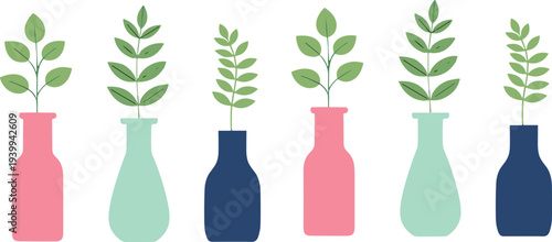 Minimal houseplants in colorful vases flat vector illustration set, modern botanical decor elements isolated on light background