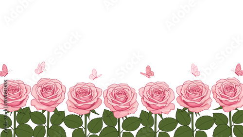 Beautiful row of delicate pink roses with green leaves and fluttering butterflies is positioned at the bottom of a white background.