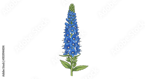 A beautiful pink desert rose plant in bloom against a white background.