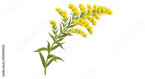 A beautiful cluster of pink oleander flowers with green leaves.