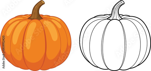 Cartoon style pumpkin illustration featuring both a vibrant orange version and a black outline for coloring perfect for autumn Halloween and harvest themes