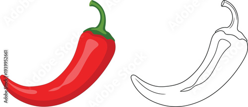 Vibrant red chili pepper illustration alongside its black outline drawing perfect for cooking blogs educational materials or coloring book designs