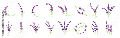 Lavender Logo Template vector symbol nature