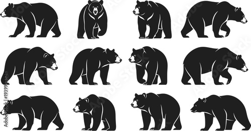 Bear silhouette, walking poses, standing gestures, turning positions, wildlife posture, animal figure, abstract design, vector illustration icons collection