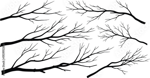 Black silhouettes of tree branches with twigs, botanical vector illustration showing natural forms, scattered design elements for artistic and decorative use