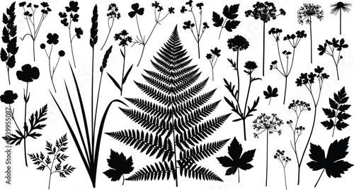 Silhouette vector illustration of diverse plants and flowers, fern leaf centerpiece, grasses, leaves, floral clusters, minimal design, botanical artwork, decorative concept