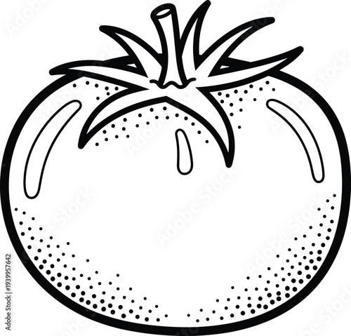 Tomato hand drawn outline illustration fresh vegetable sketch organic food ingredient black line art vector isolated design