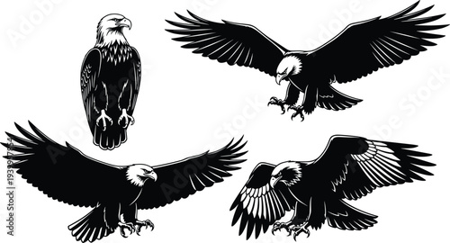 Silhouettes of bald eagles in flight and perched, majestic bird poses, wings spread, talons extended, wildlife illustration vector design concept