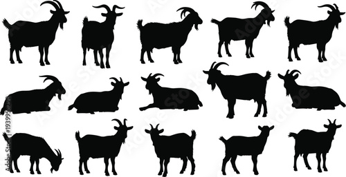 Silhouettes of goats in diverse postures, standing, lying, grazing, horn variations, animal figures arranged in rows, wildlife illustration vector design