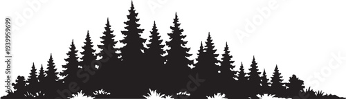 Black pine forest silhouette, coniferous trees landscape vector illustration on white background.