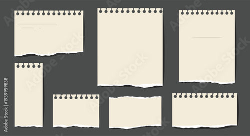 Collection of various torn notebook paper pieces with punched holes and ripped edges isolated on a dark gray background for creative layouts.