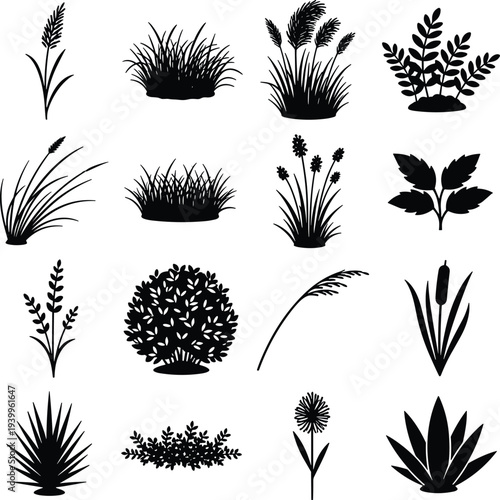 Black silhouette set of various plants including garden shrubs, ornamental grasses, wheat stalks, bulrush cattails, and leaf bushes isolated on white background for nature designs