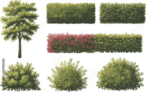 Assortment of garden plants including a tree, hedges, and bushes on a white background Keywords: garden, plants, tree, hedge, bush, shrub, greenery, foliage, nature, outdoor, landscape