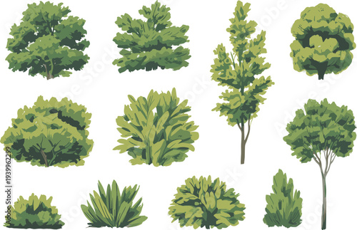Collection of ten diverse green trees and bushes in various shapes and sizes on a white background shrubs