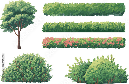Various garden plants like a tree, hedges, and bushes with pink flowers on a white background Keywords: garden, plants, tree, hedge, bush, shrub, greenery, foliage, nature, outdoor, landscape