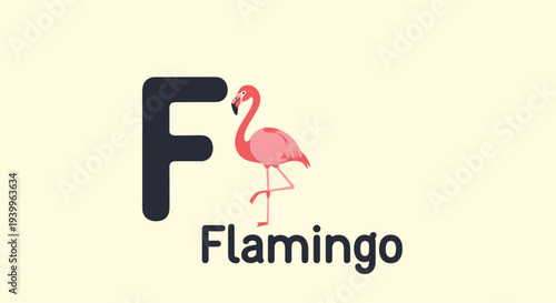 Educational flashcard displays the uppercase letter F accompanied by a pink flamingo and the word flamingo for learning the alphabet.