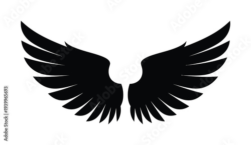 Vector graphic showcasing a pair of symmetrical wings spread out beautifully against a white background.