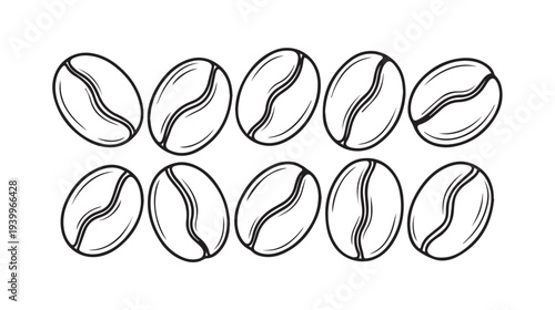 Row of Coffee Beans Line Art Illustration Isolated on White Background