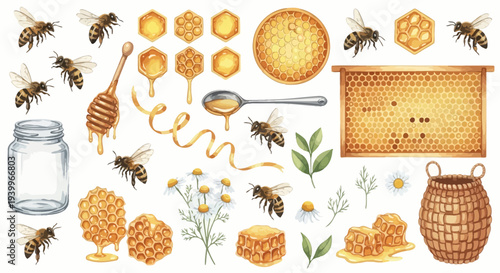 Watercolor illustration of bees honeycombs honey dipper and flowers