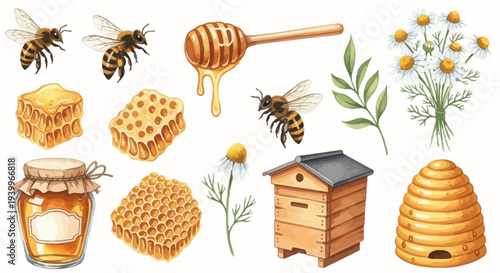 Watercolor illustration of bees honeycombs honey dipper chamomile flowers