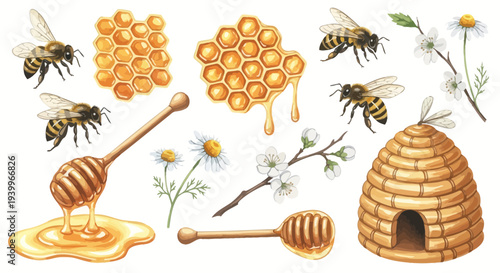 Watercolor illustration of bees honeycombs honey dippers and flowers