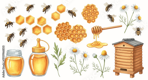 Watercolor illustration of bees honeycombs honey flowers and beehive