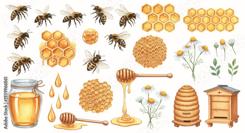 Watercolor illustration of bees honeycombs honey flowers and beehives