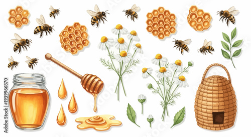 Watercolor illustration of bees honeycombs honey flowers and other elements
