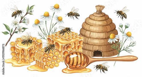 Watercolor illustration of bees honeycombs honey hive and flowers