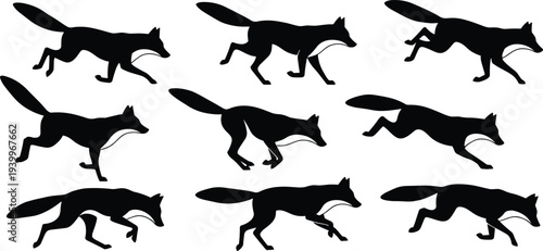 Black silhouette vector illustration set of a running fox in various motion frames for animation sequence wildlife movement or nature hunting concept design