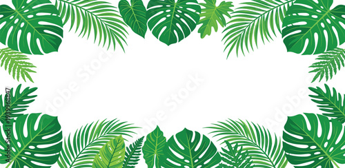 Tropical leaves forming a lush border around a blank space from a top view in a natural setting with green foliage
